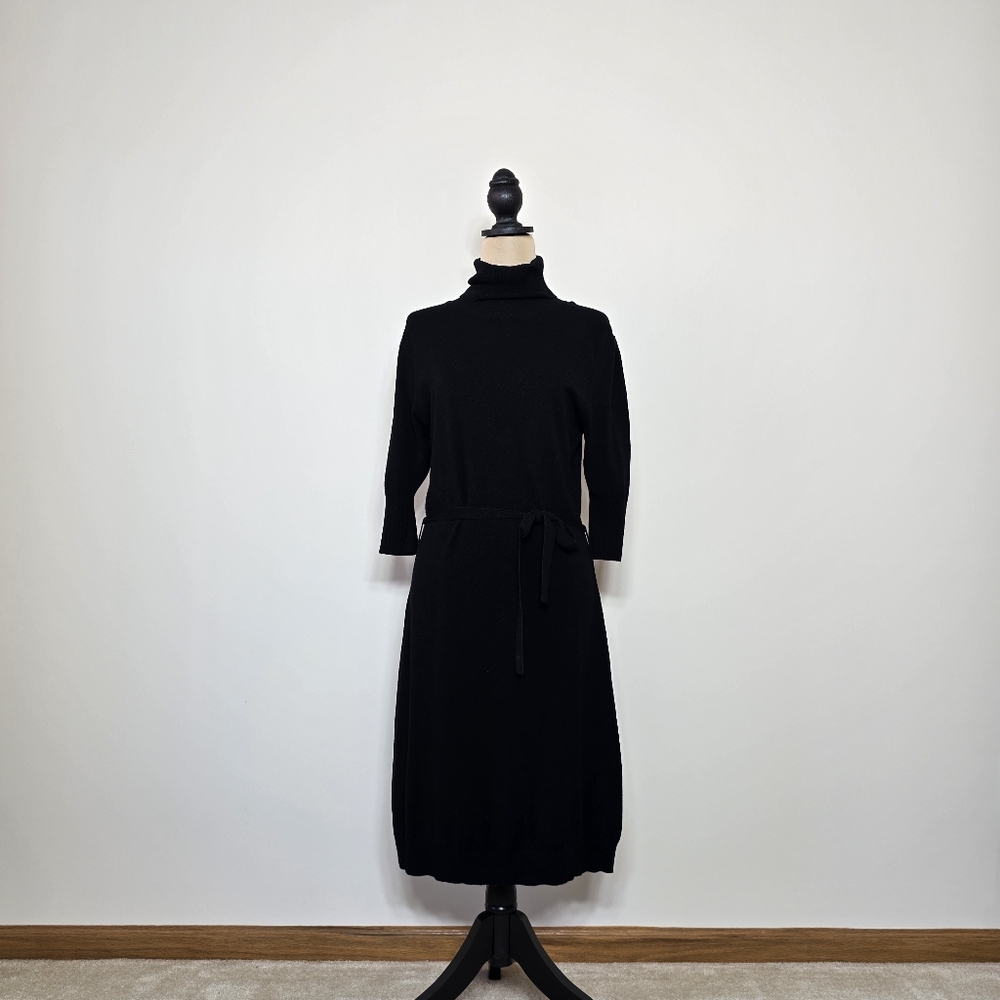 Vertigo Paris Turtleneck Sweater Dress